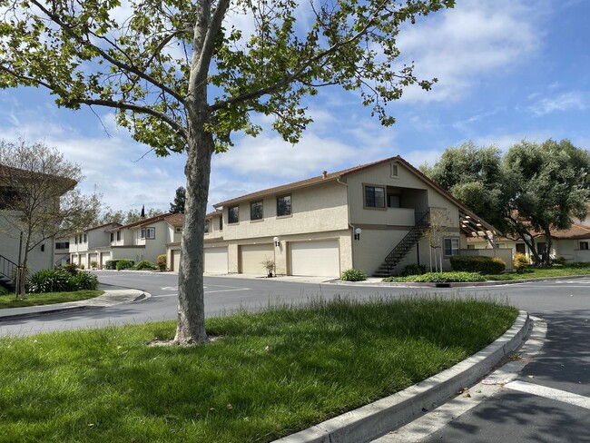 Building Photo - BLOSSOM VALLEY - spacious condominium, des...