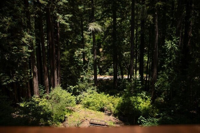 Building Photo - Sunlit Sanctuary in the Redwoods