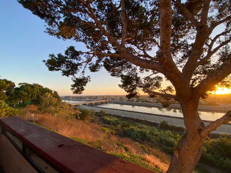 Building Photo - 2151 Pacific Ave