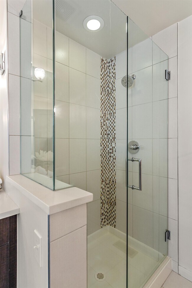Master Shower - 3462 Albion St