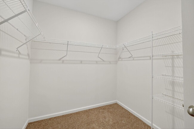 Building Photo - 11036 Pacini Wy