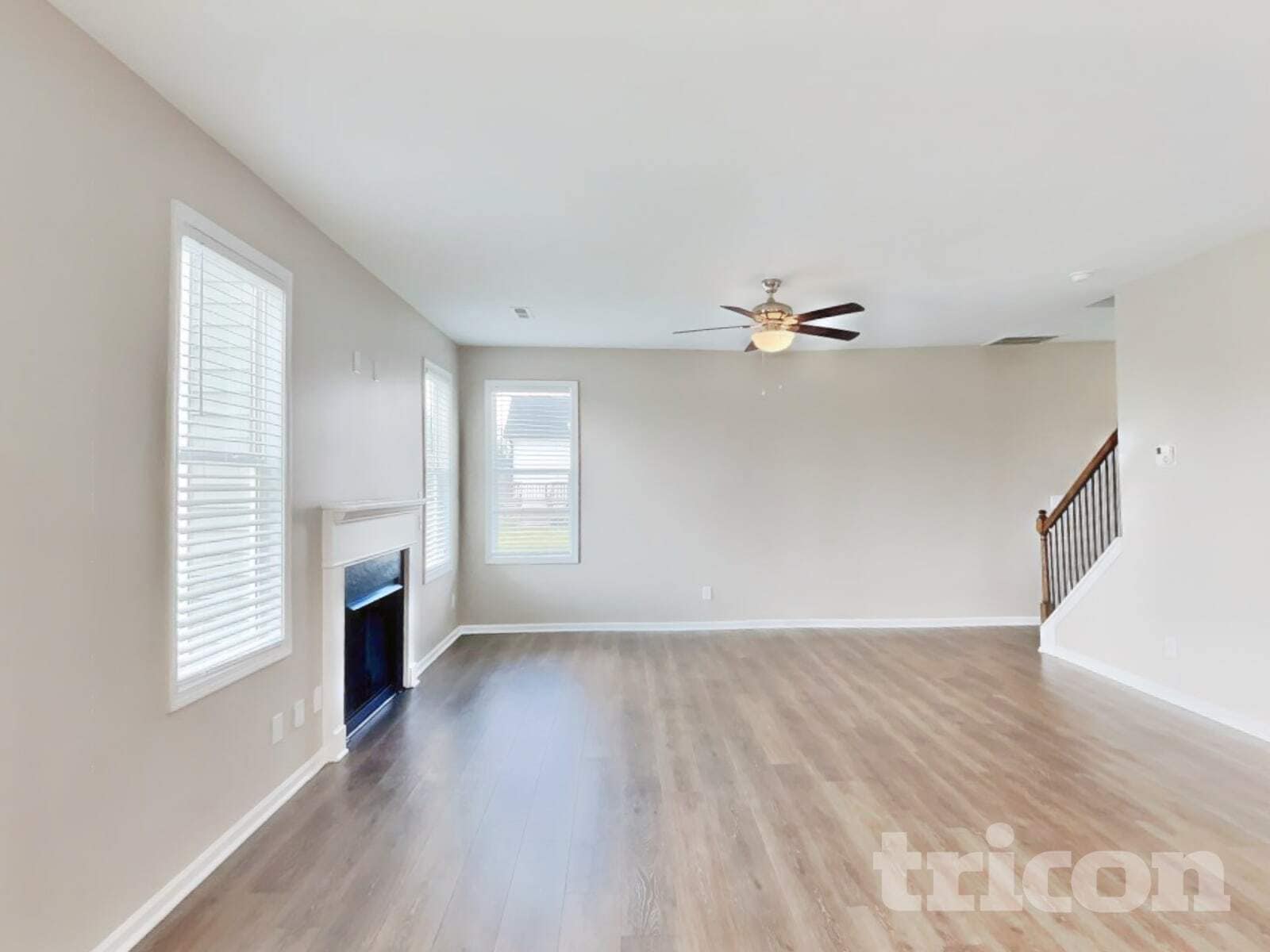 Building Photo - 50 Greenhouse St