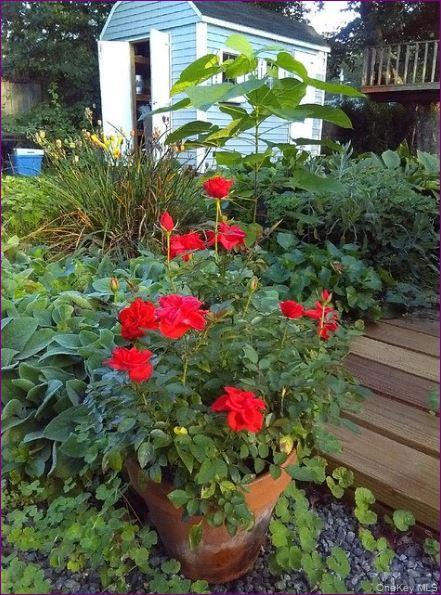 Building Photo - 20 Princeton St