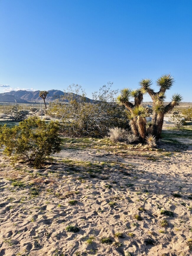 Building Photo - Gorgeous 3 bd, 2.5 ba on 1 acre