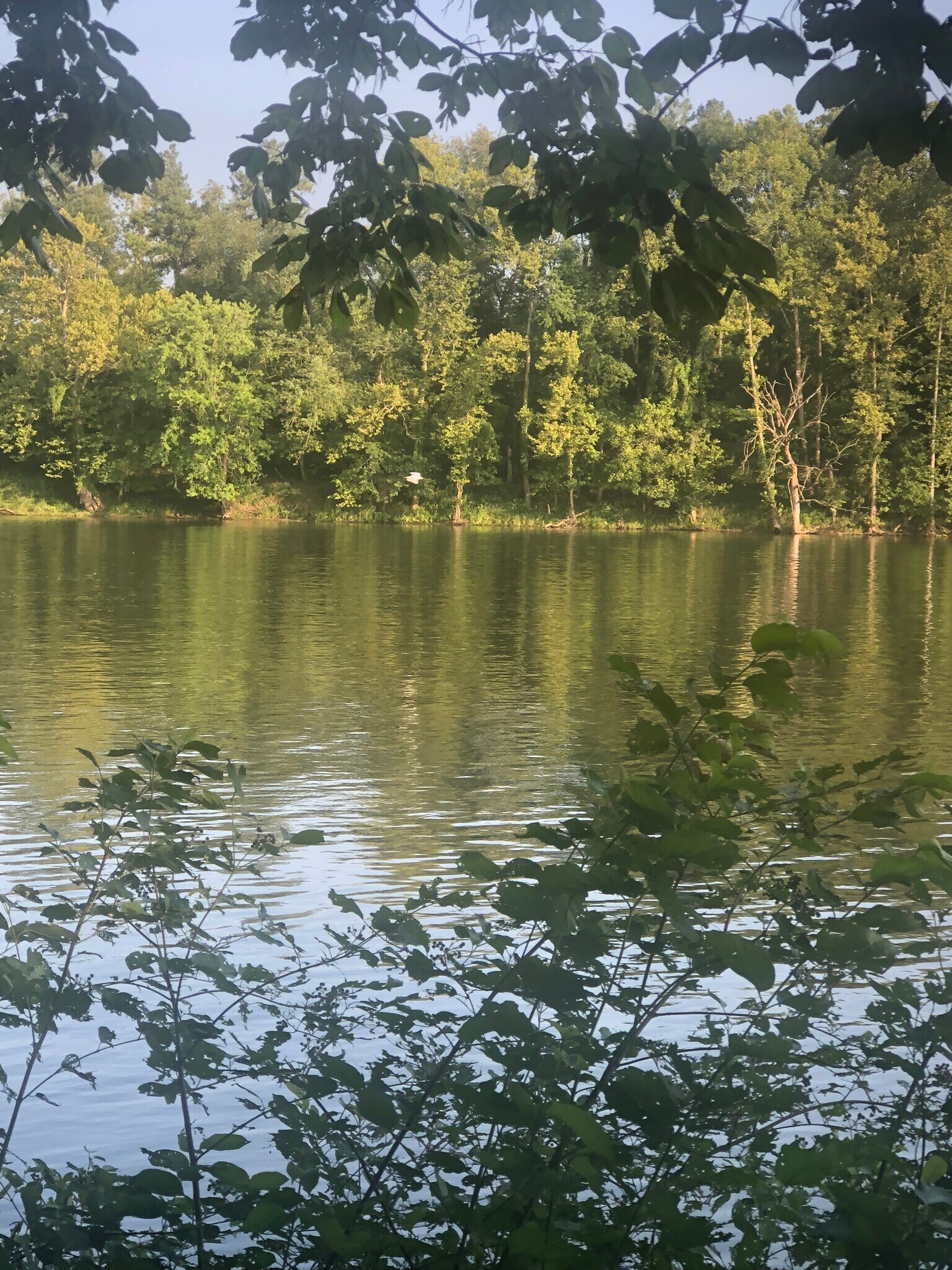 Just a few river shots - 5163 Whitethorne Rd