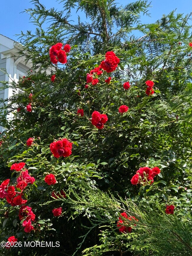 Building Photo - 82 3rd St