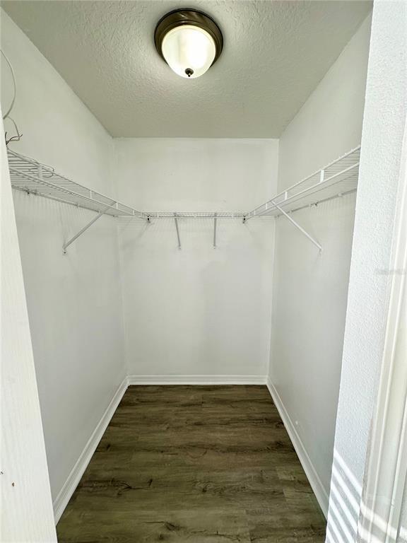 Building Photo - 233 Carina Cir