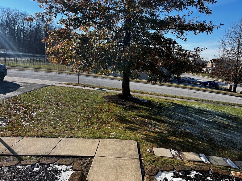 Street View, Sidewalk to Stepping Stone path - 205 Palomino Dr