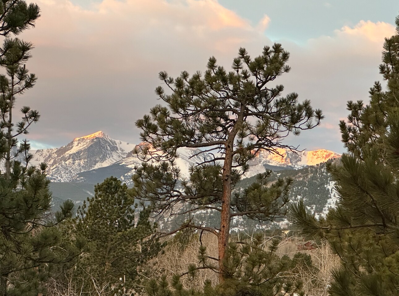 Building Photo - 230 Cyteworth Rd