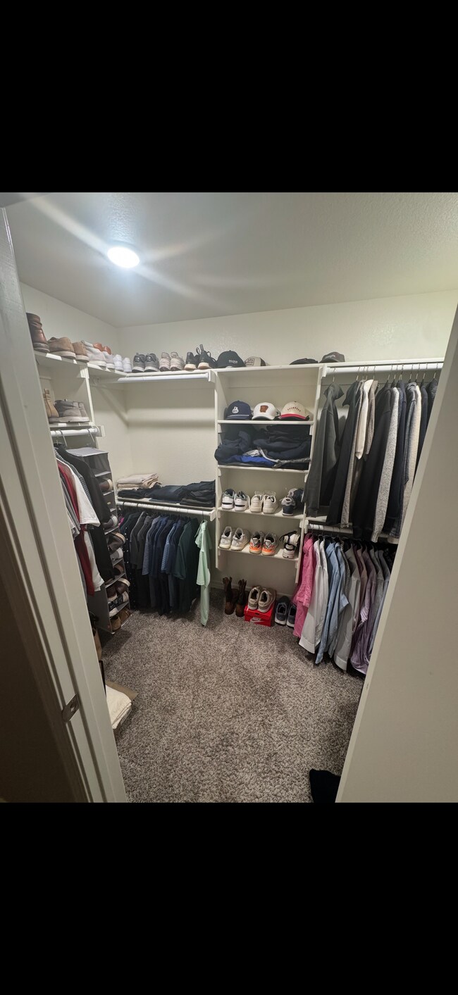 Building Photo - 235 Turnberry Ct