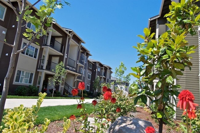 Primary Photo - Mill Creek Meadows