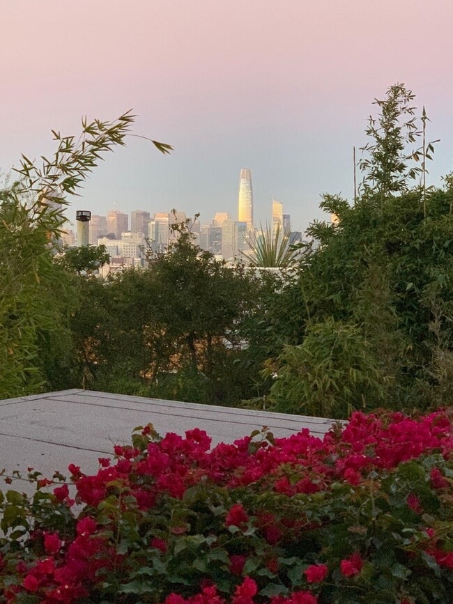 Building Photo - Dolores Heights: Sun-filled 1 Bedroom Home...