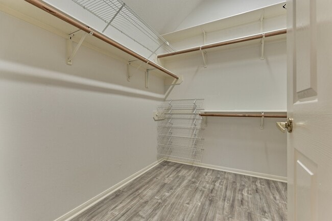 Building Photo - 51 S Crossed Birch Pl