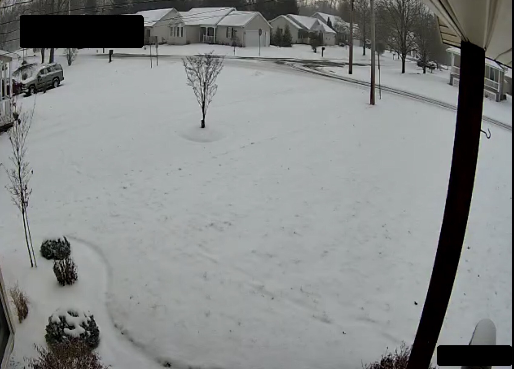 Left Front Yard - 1478 E 10th St