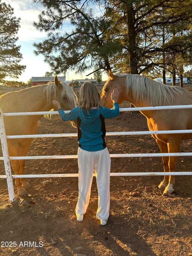 Building Photo - 2399 Quarter Horse Trl