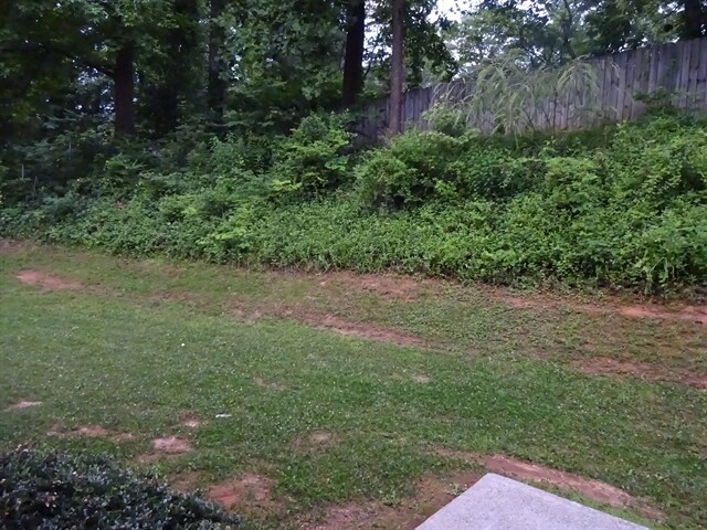 Building Photo - 285 Thornbush Ln