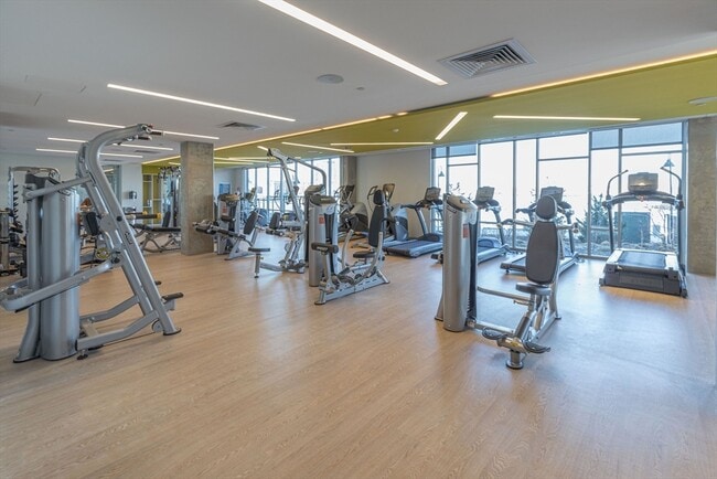 Building Photo - 45 Lewis St