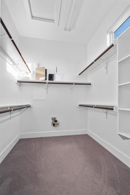 Building Photo - 1004 Banyon St