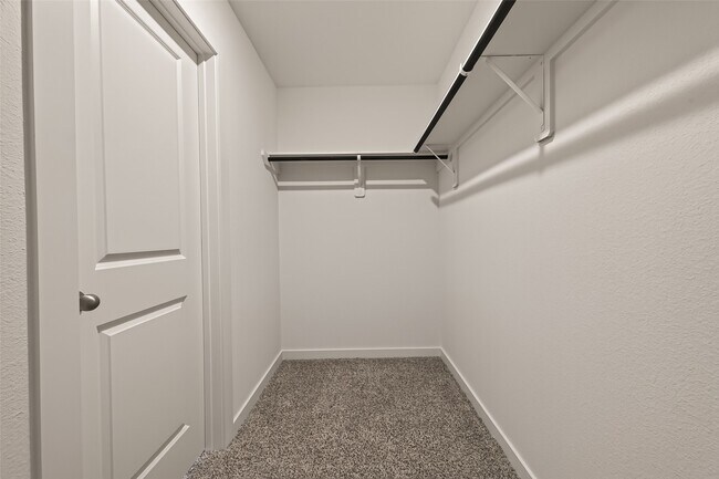 Building Photo - 3538 Lovebird Ln