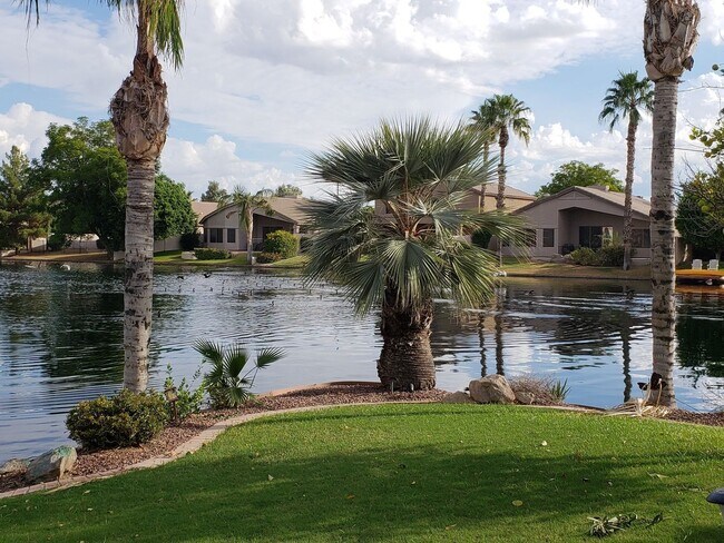 Building Photo - Beautiful Lakefront Home in Ocotillo Lakes...