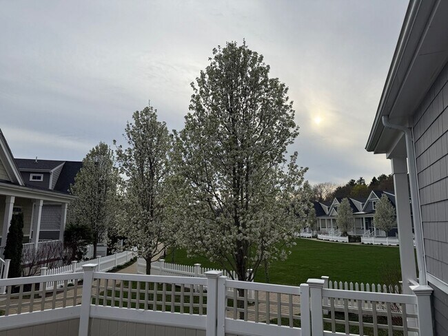 Building Photo - Charming 2BR House in Norfolk