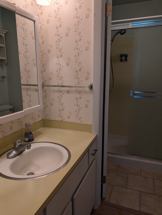 En-suite bathroom in primary bedroom - 1808 Indian Meadows Ln