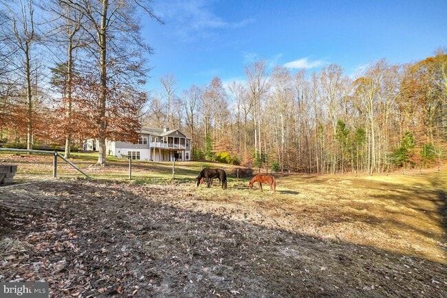 Building Photo - 24900 Fox Run Ln