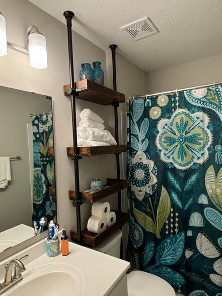 The bathroom right outside the rented room - 2533 Bella Rdg