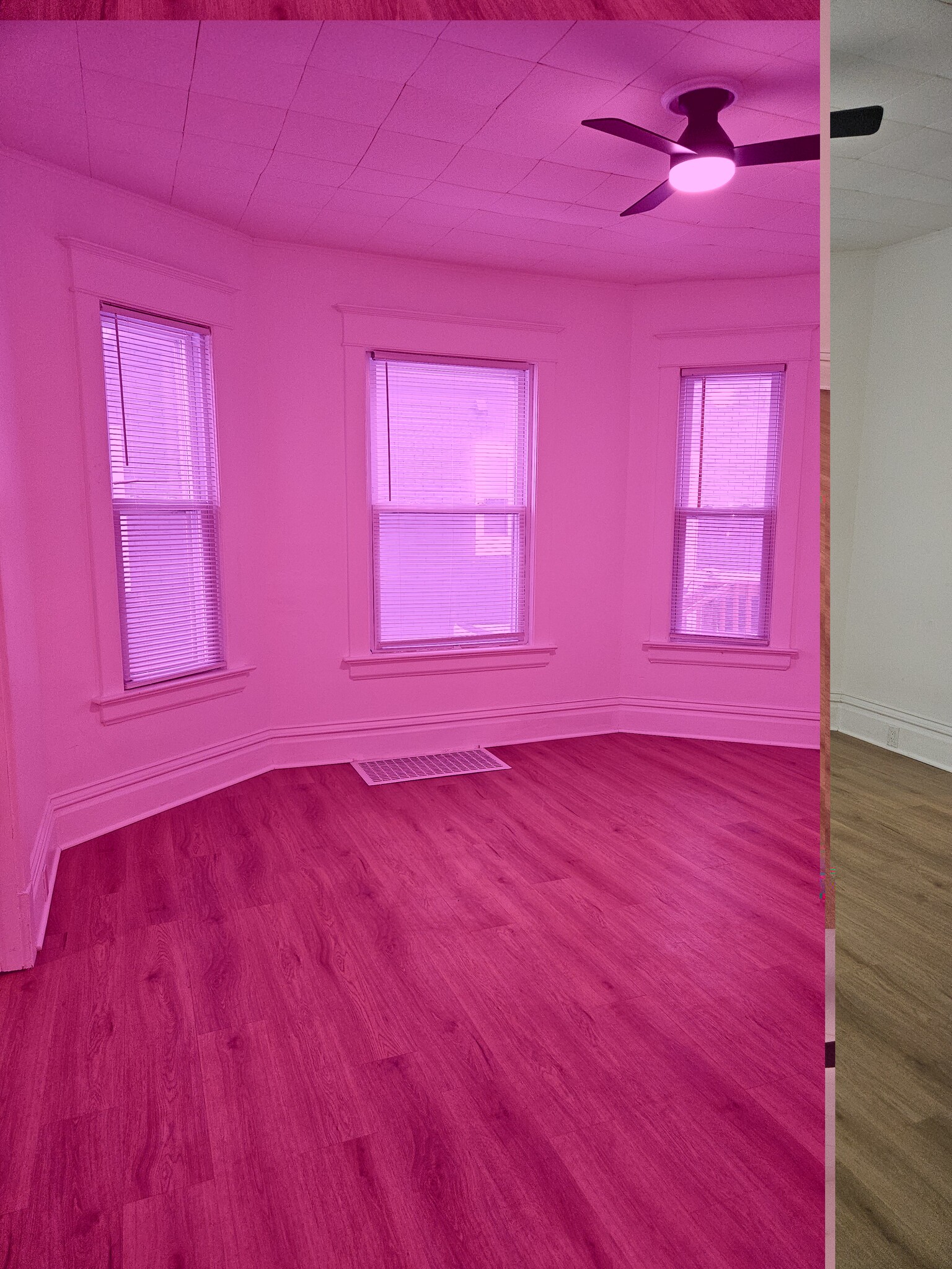 Living Room - 5706 22nd Ave