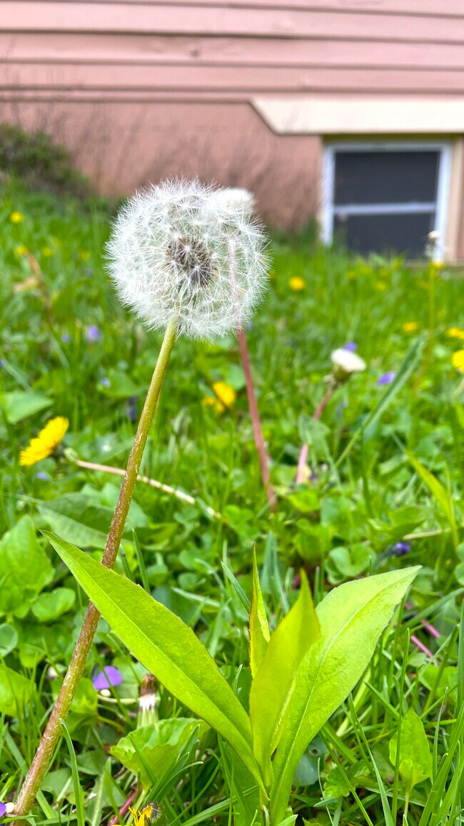 Building Photo - 615 N Staats Dr