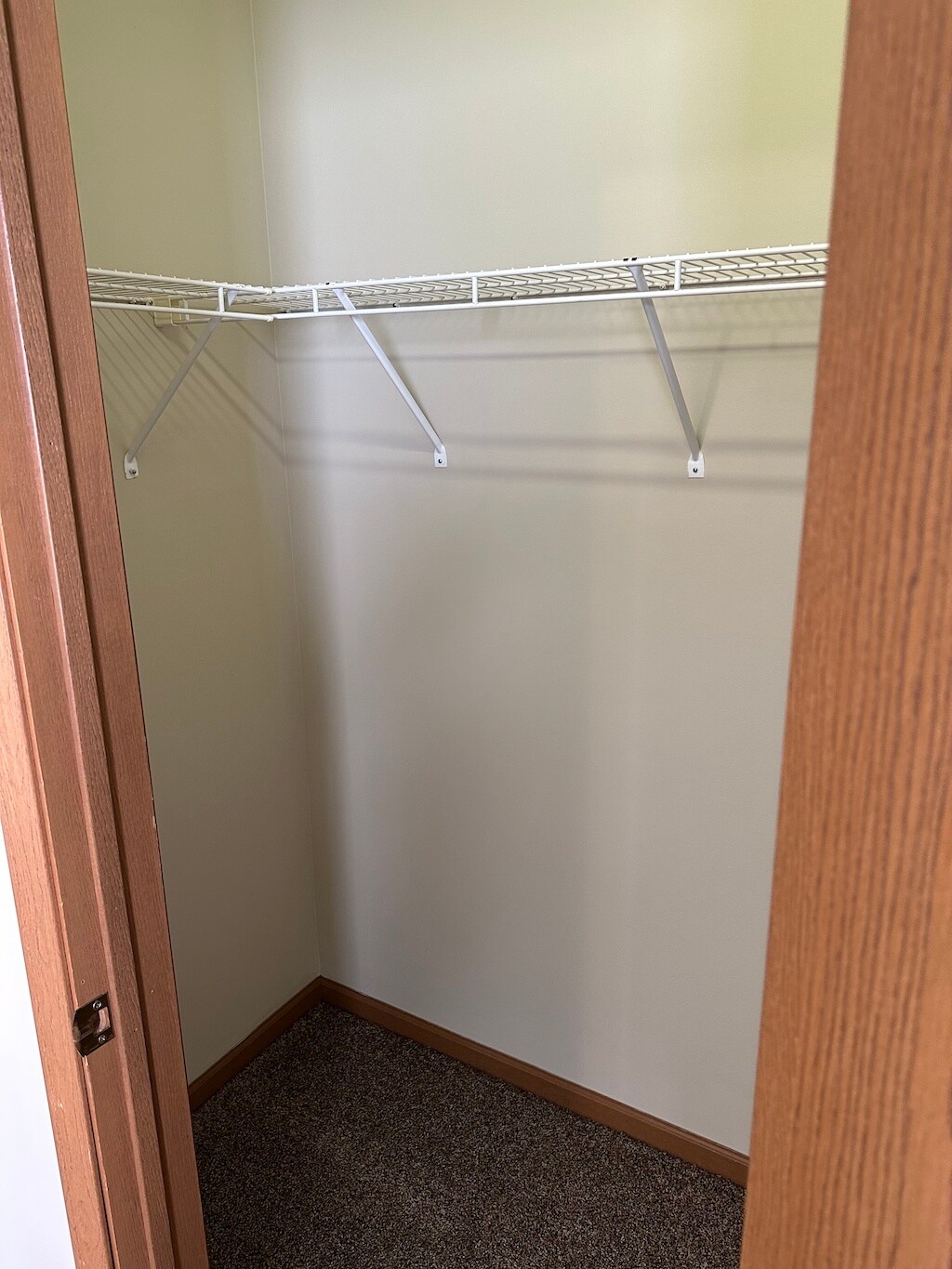 Building Photo - 1128 Sourgum Lane