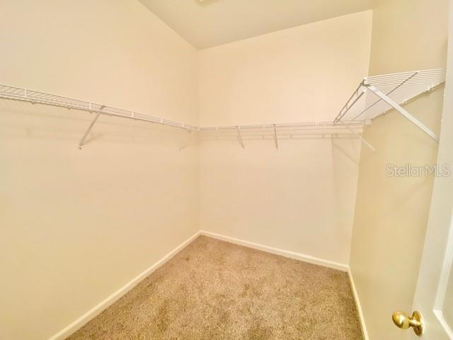 Building Photo - 705 Ravenshill Way