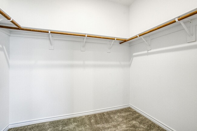 Building Photo - MULTI-GENERATIONAL New Build Home with En Suite In Skye Canyon!