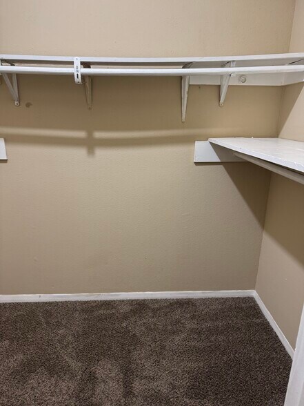 Building Photo - 3923 Tanglewilde St