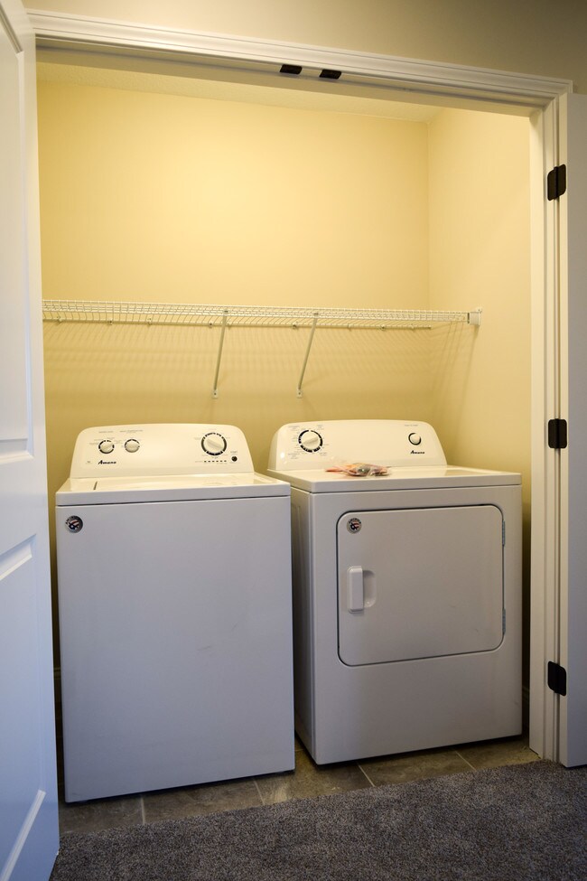 Building Photo - 800 Sedgegrass Dr