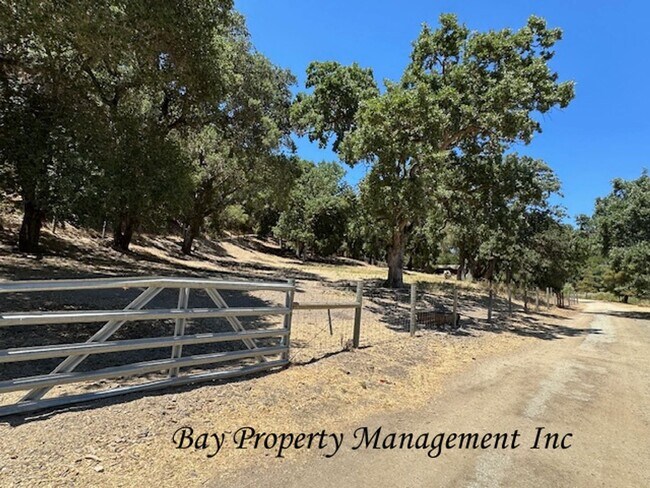 Building Photo - Unique Carmel Valley Horse Property!