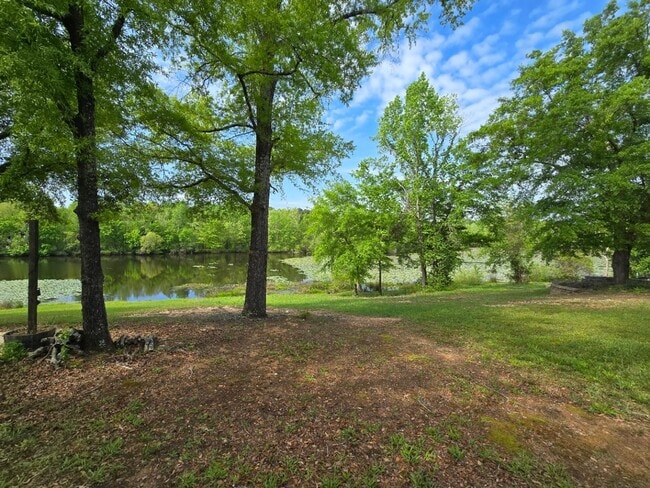 Building Photo - Rare find in Camden, SC - Gorgeous home on...