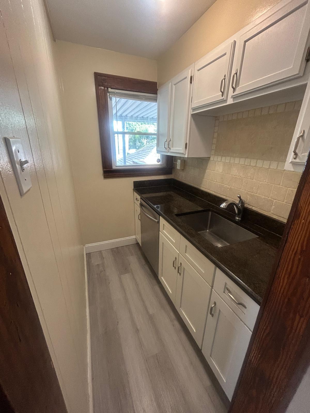 Kitchen - Stainless Steel Dishwasher - 261 View St