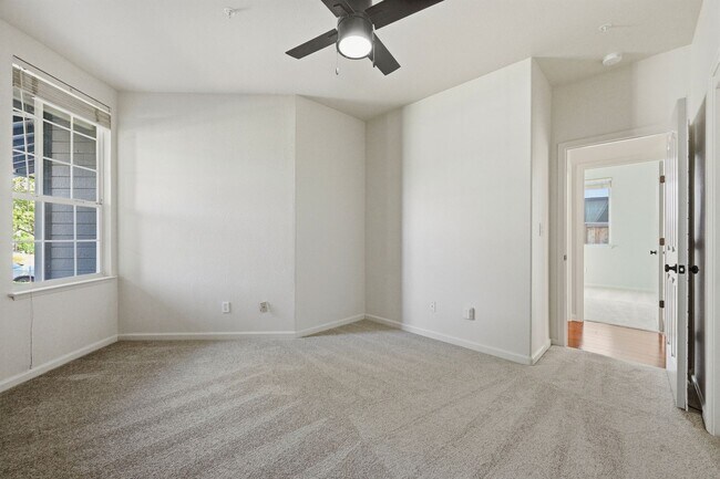 Building Photo - Contemporary Single Level North Napa Home