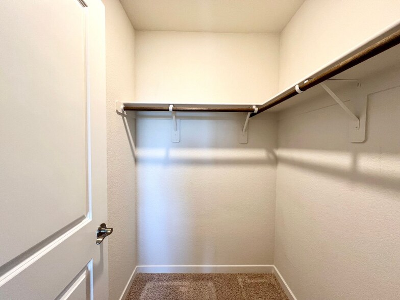 Building Photo - 2878 Sweeping Palm Rd