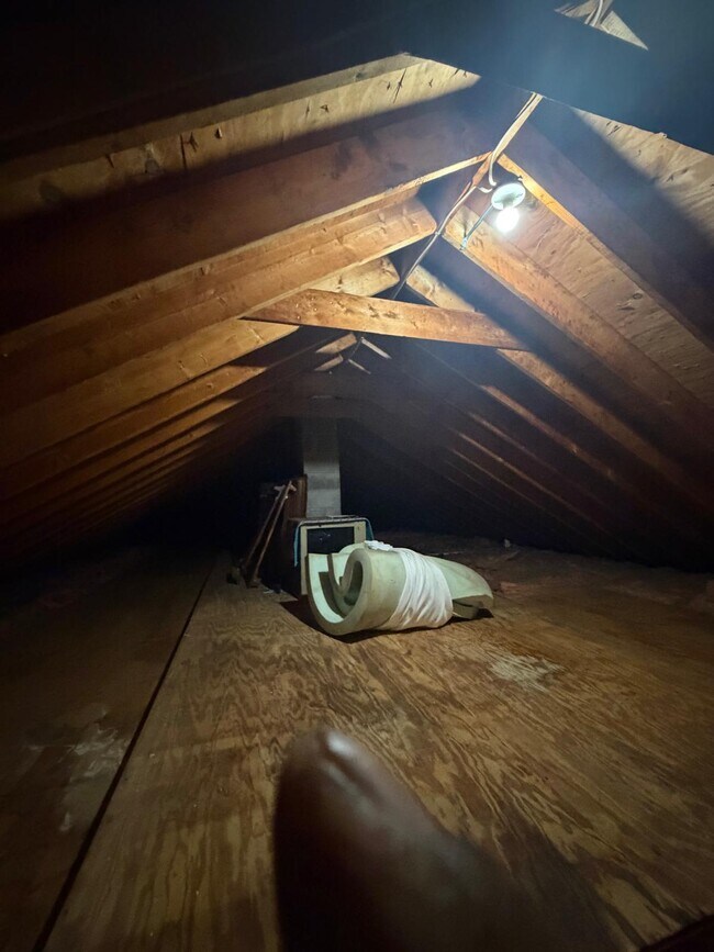 Building Photo - 61 Tracey St