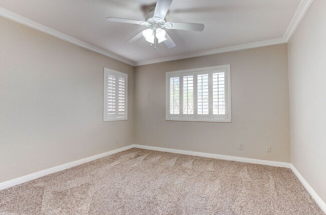 Building Photo - 809 Royal Birch Ln