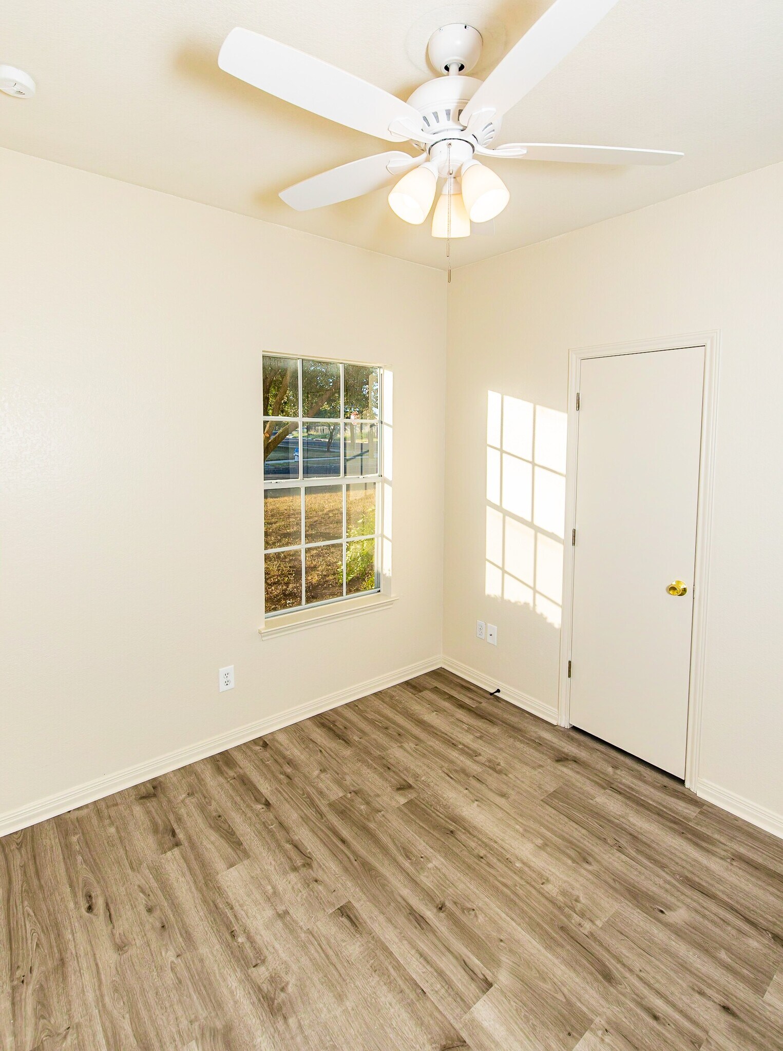2nd Bedroom - 3001 Whisper Oaks Ln
