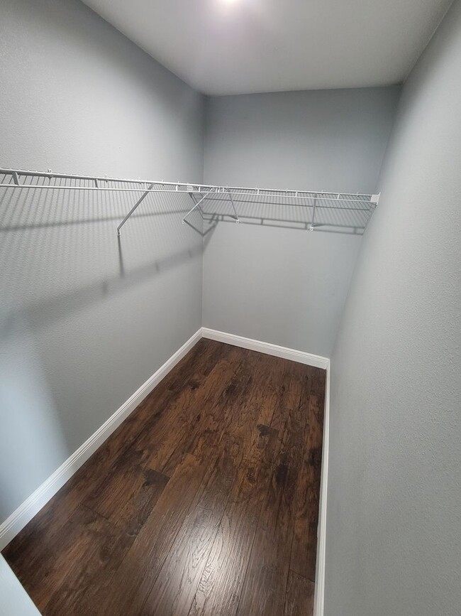 Building Photo - Beautiful Home near Busch Gardens!