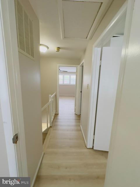 Building Photo - 3442 Belfry Ln