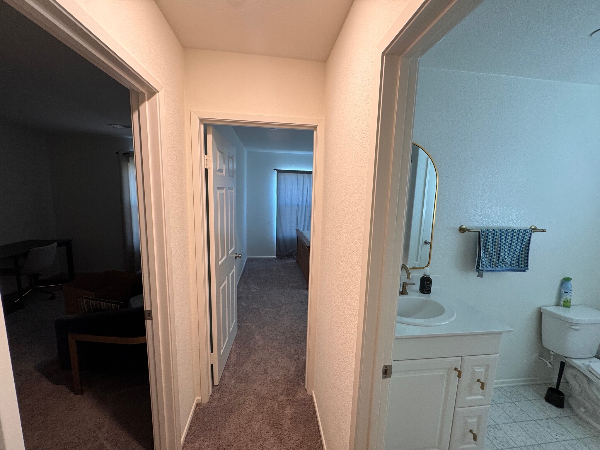 hallway top bedrooms 2 & 3 + hall bath - 15659 Whispering Creek Way