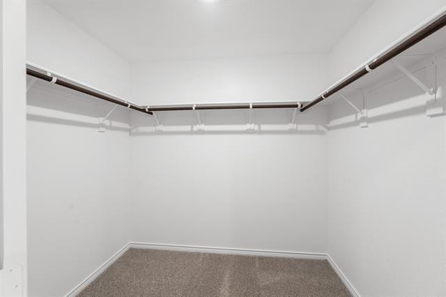 Building Photo - 647 Carters Grv Dr