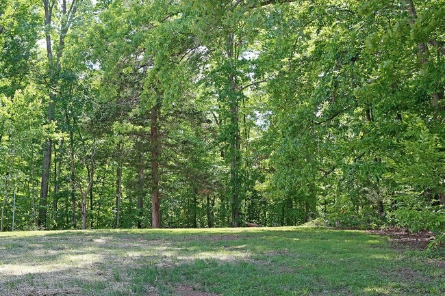 Building Photo - Updated Keswick Cottage on Over 7 Acres