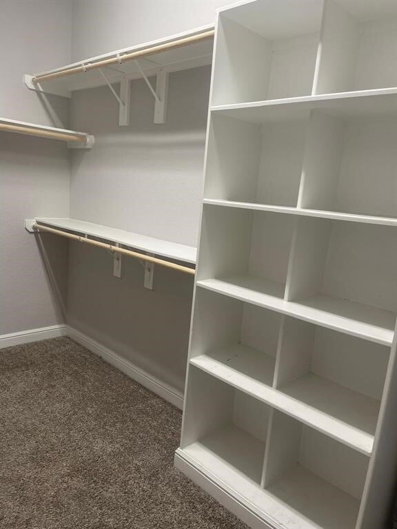 Building Photo - 13236 Tracewood Hills Ln