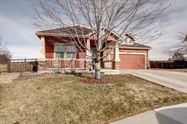 Building Photo - The Meadows of Castle Rock Ranch home w/finished basement & Mountain Views.